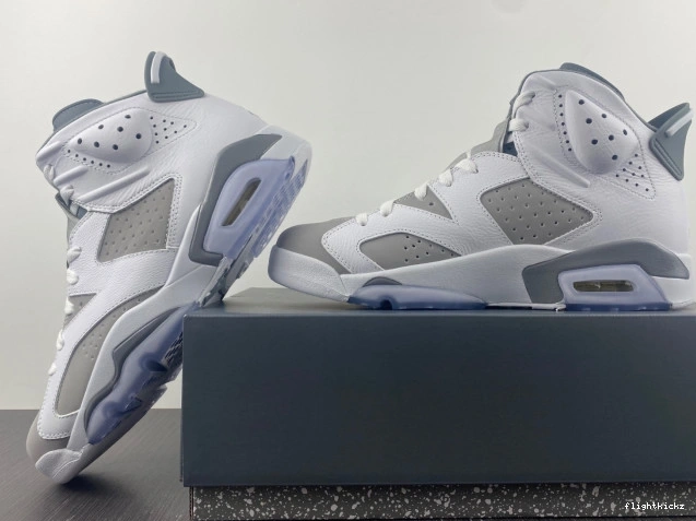 Grey Cool Jordan Air 6 CT8529-100 1213